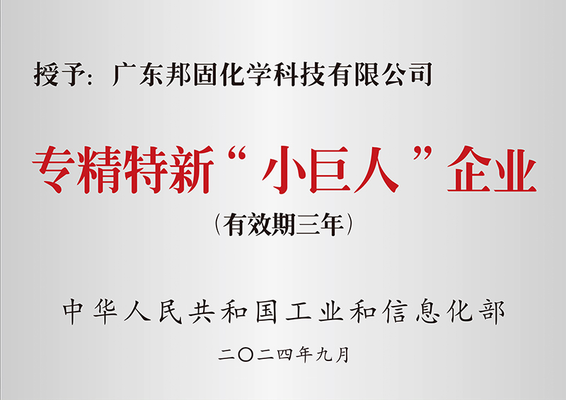 专精特新小巨人企业（国家级）